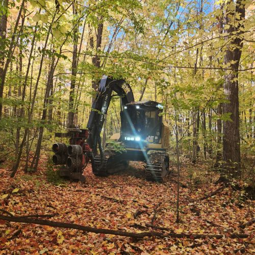 HArvesting-image-1-scaled