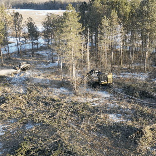 Land Clearing